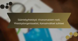 Sääntelyyhteistyö: Viranomaisten rooli, Yhteistyöorganisaatiot, Kansainväliset suhteet